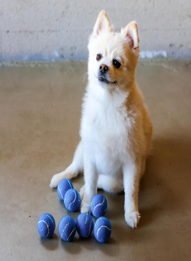 Midlee Happy Birthday Dog Tennis Balls (12 Pack) (Small, Blue) - Image 3